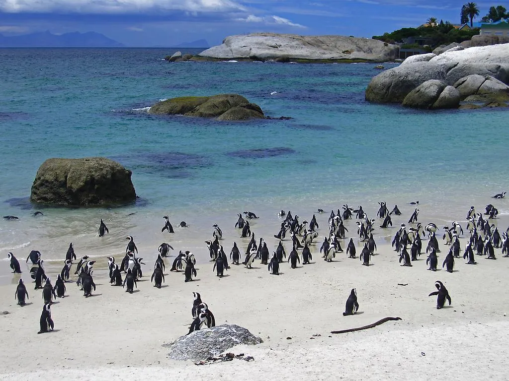 Roman Rock Apartments Simonʼs Town 0*,  Afrique du Sud