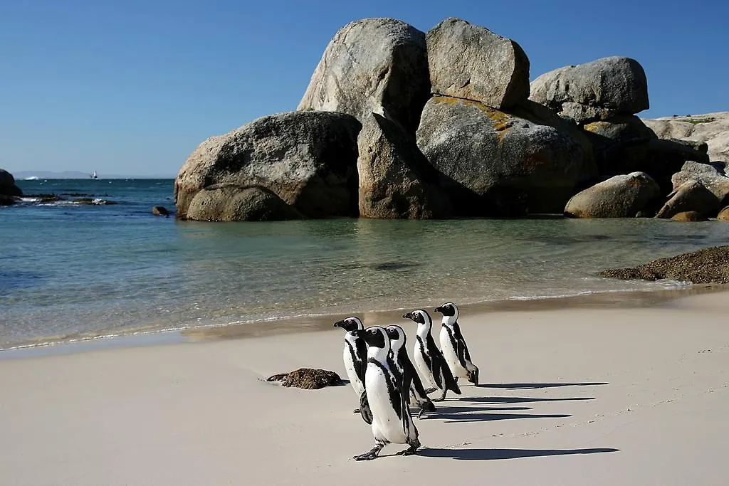 Roman Rock Apartments Simonʼs Town