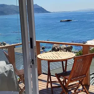 Penguins View Simonʼs Town